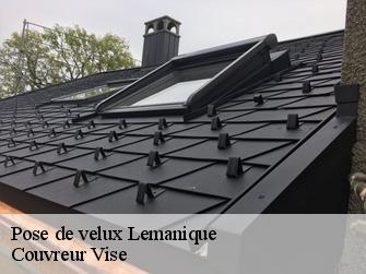 Pose de velux Lemanique  Couvreur Vise