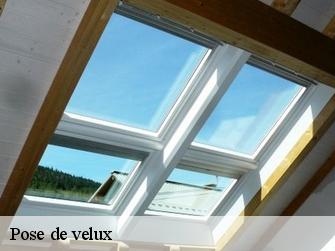 Pose de velux Lemanique 