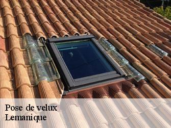 Pose de velux Lemanique 