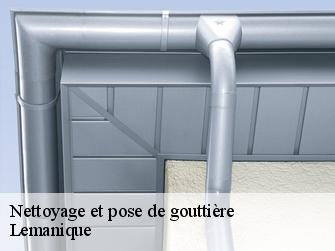 Nettoyage et pose de gouttière Lemanique 