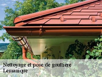 Nettoyage et pose de gouttière Lemanique 