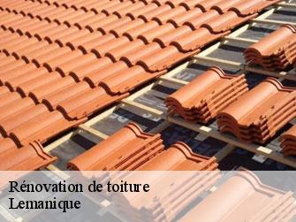 Rénovation de toiture Lemanique