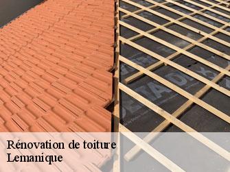 Rénovation de toiture Lemanique