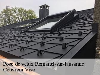 Pose de velux  romanel-sur-lausanne-1032 Couvreur Vise