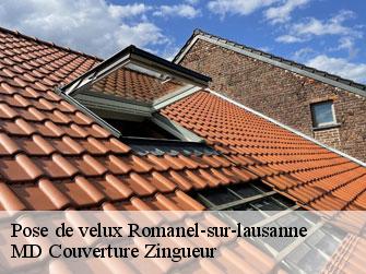 Pose de velux  1032