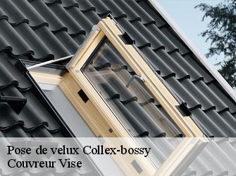 Pose de velux 1239