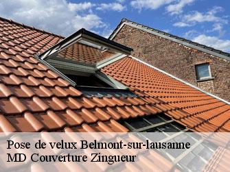 Pose de velux  1092
