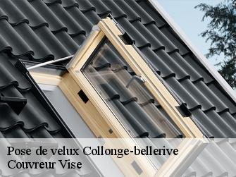 Pose de velux 1245
