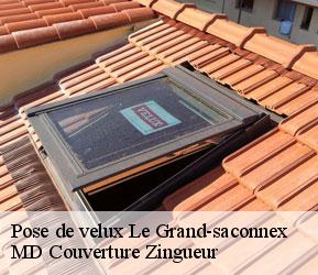 Pose de velux  le-grand-saconnex-1218 MD Couverture Zingueur