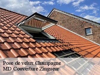 Pose de velux  1424