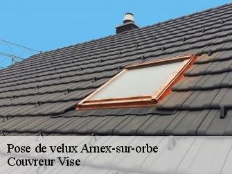 Pose de velux