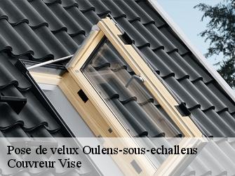 Pose de velux 1377