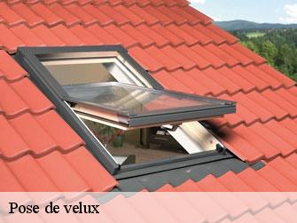 Pose de velux  1803