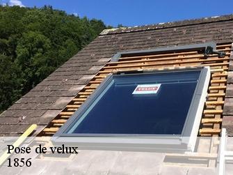 Pose de velux 1856