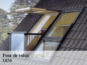 Pose de velux 1856