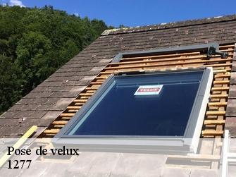 Pose de velux  1277