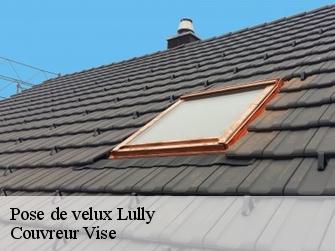 Pose de velux