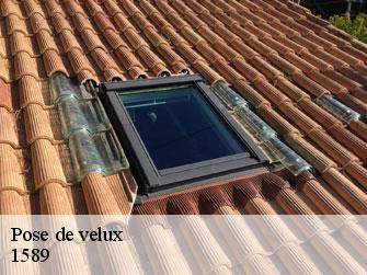 Pose de velux  1589