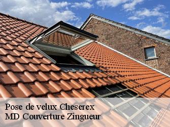 Pose de velux  1275