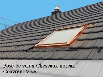 Pose de velux