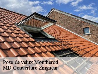 Pose de velux  1174
