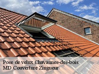 Pose de velux  1290