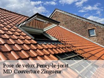 Pose de velux  1059