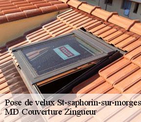 Pose de velux  st-saphorin-sur-morges-1113 MD Couverture Zingueur