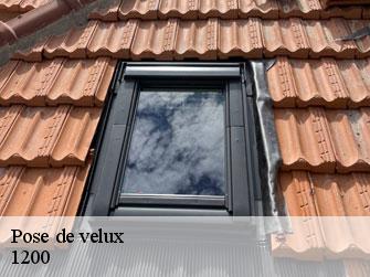 Pose de velux  1200