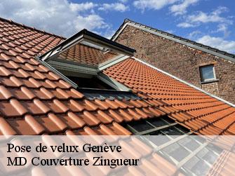 Pose de velux  1200