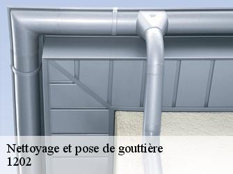 Nettoyage et pose de gouttière  1202