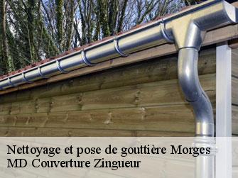 Nettoyage et pose de gouttière