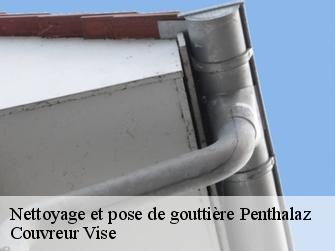 Nettoyage et pose de gouttière  1305