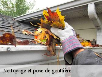 Nettoyage et pose de gouttière  1295