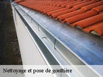 Nettoyage et pose de gouttière