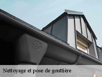 Nettoyage et pose de gouttière