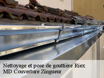 Nettoyage et pose de gouttière  1097