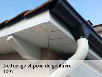 Nettoyage et pose de gouttière  1097