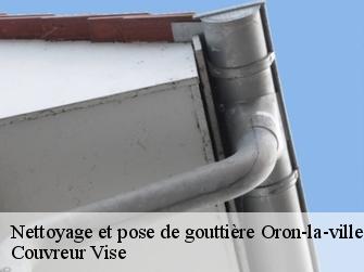 Nettoyage et pose de gouttière 1610