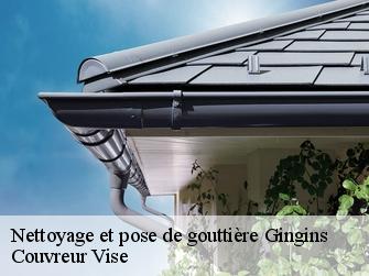 Nettoyage et pose de gouttière gingins-1276 Couvreur Vise