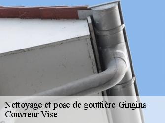 Nettoyage et pose de gouttière 1276