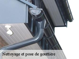 Nettoyage et pose de gouttière 1276