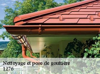 Nettoyage et pose de gouttière 1276