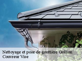 Nettoyage et pose de gouttière  gollion-1124 Couvreur Vise