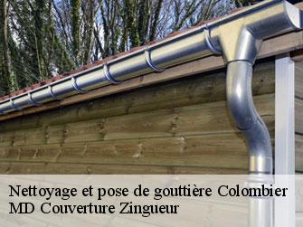 Nettoyage et pose de gouttière