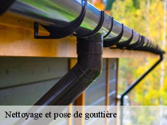 Nettoyage et pose de gouttière