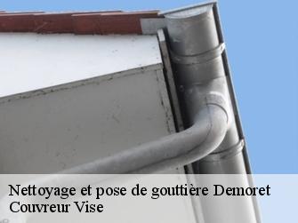 Nettoyage et pose de gouttière 1415