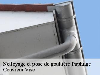 Nettoyage et pose de gouttière  1241