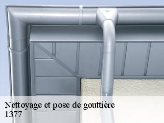Nettoyage et pose de gouttière 1377
