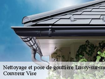Nettoyage et pose de gouttière  lussy-sur-morges-1167 Couvreur Vise